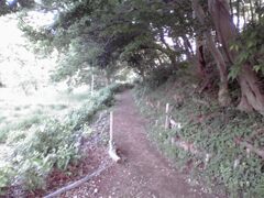 子供の頃に遊んでいた場所、春