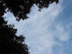 子供の頃に遊んだ場所 夏