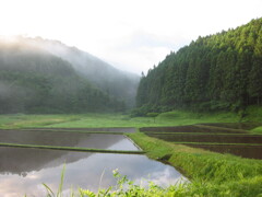 2004年クワガタ採集、北茨城、福島県