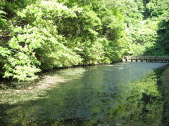 千葉県奥地へ一人旅。ペーパードライバー運転練習の為