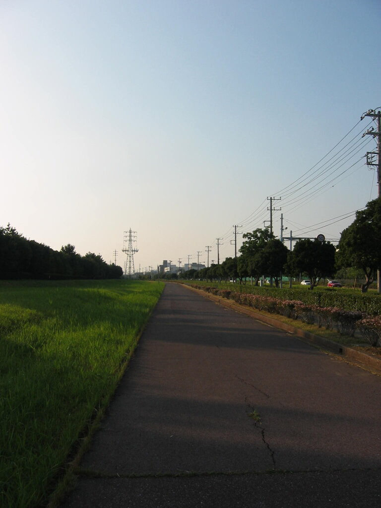 震災前のサイクリングロード