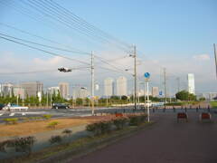 震災前のサイクリングロード