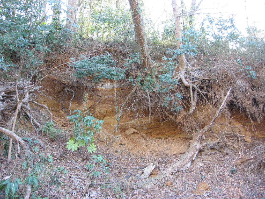 子供の頃に遊んだ場所