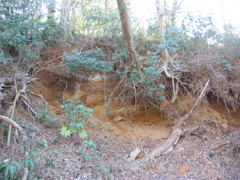 子供の頃に遊んだ場所