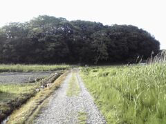 子供の頃に遊んでいた場所、春