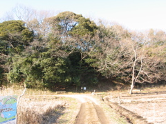 子供の頃に遊んだ場所