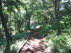 子供の頃に遊んだ場所 夏