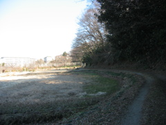 子供の頃に遊んだ場所