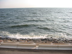 震災前のサイクリングロード