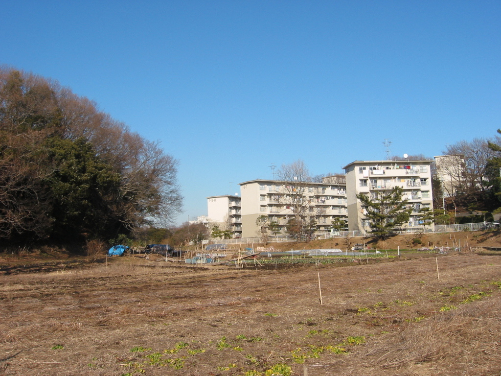 子供の頃に住んでいた団地