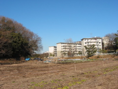 子供の頃に住んでいた団地