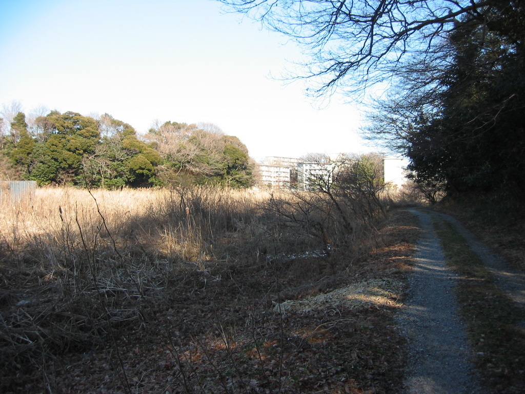 子供の頃に遊んだ場所