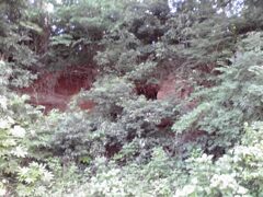 子供の頃に遊んでいた場所、春