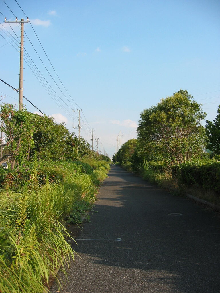 震災前のサイクリングロード