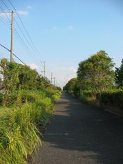 震災前のサイクリングロード