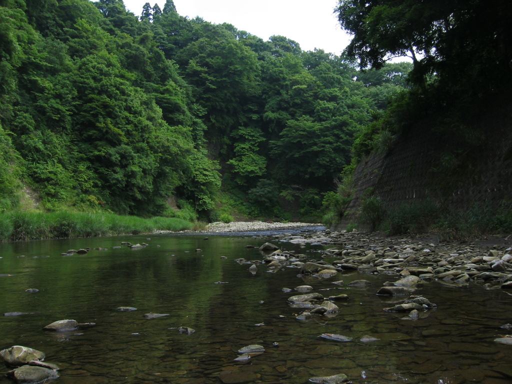 初夏、千葉県養老渓谷
