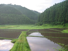 2004年クワガタ採集、北茨城、福島県