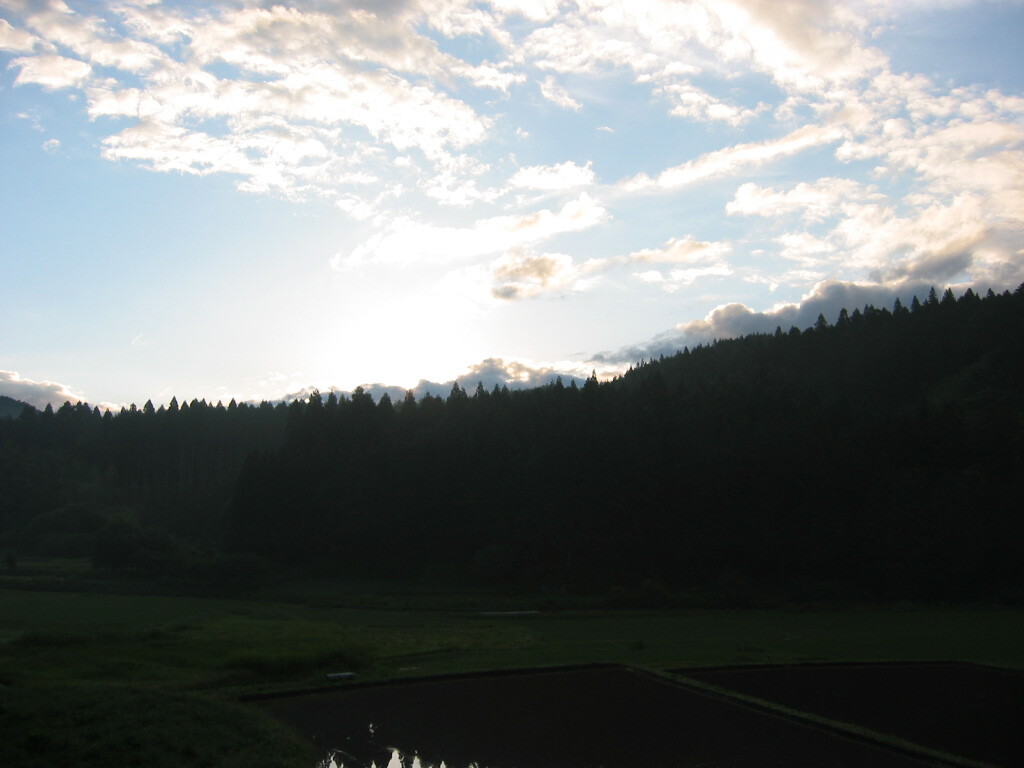 2004年クワガタ採集、北茨城、福島県