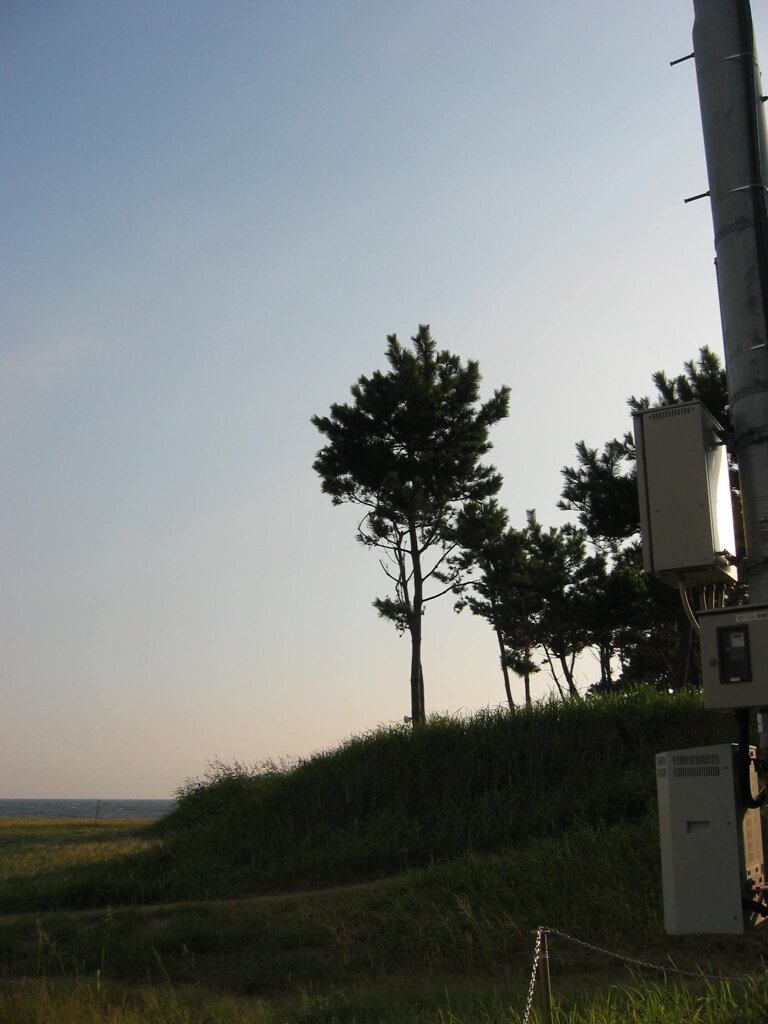 震災前のサイクリングロード