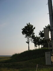 震災前のサイクリングロード