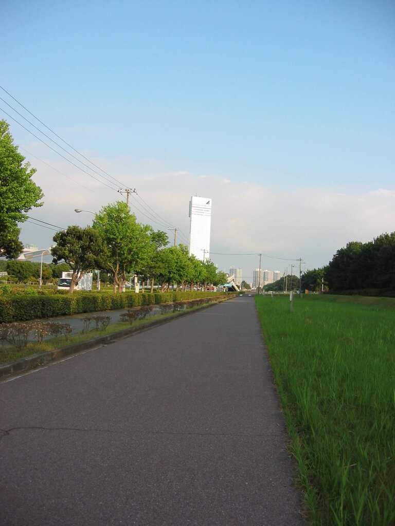 震災前のサイクリングロード