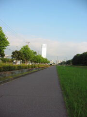 震災前のサイクリングロード