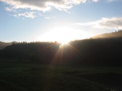 2004年クワガタ採集、北茨城、福島県