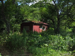 千葉県奥地へ一人旅。ペーパードライバー運転練習の為
