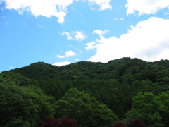 2004年クワガタ採集、北茨城、福島県
