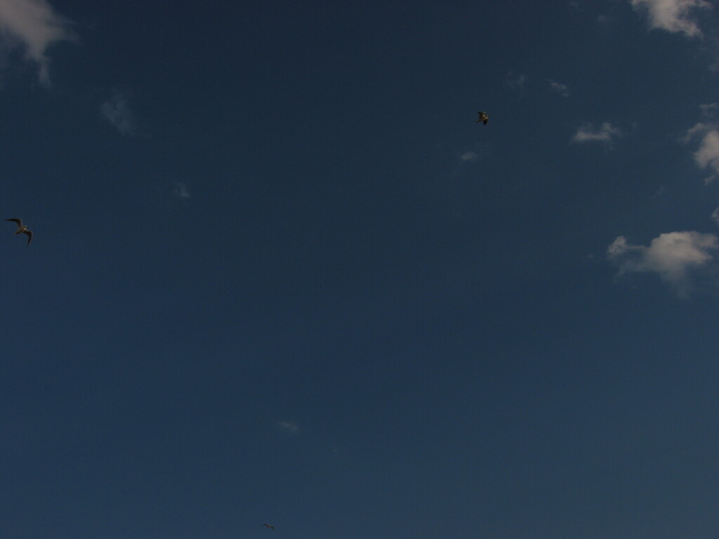 千葉市ポートタワー