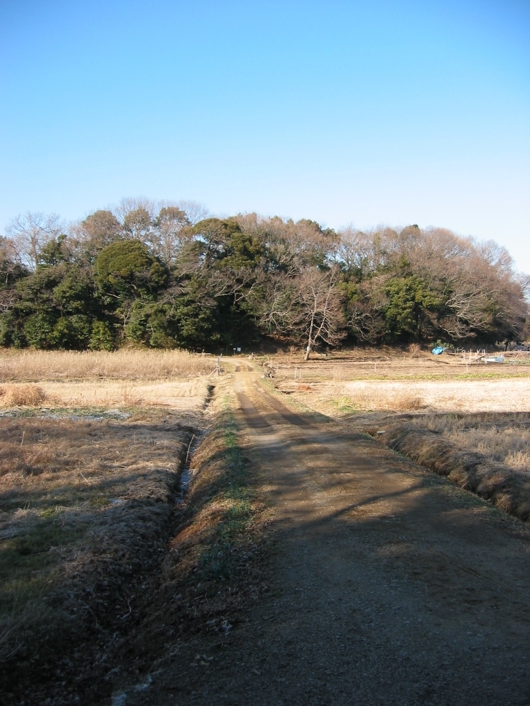 子供の頃に遊んだ場所