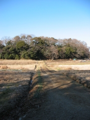 子供の頃に遊んだ場所