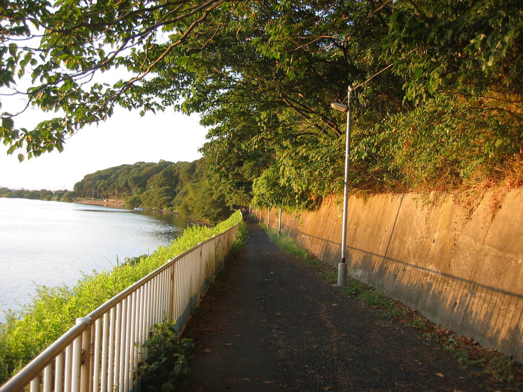 市川市の江戸川の土手から松戸へサイクリング中の撮影
