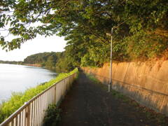 市川市の江戸川の土手から松戸へサイクリング中の撮影