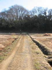 子供の頃に遊んだ場所