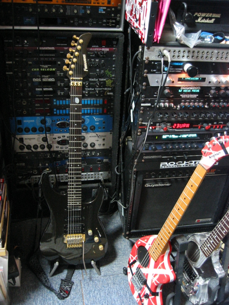 フェルナンデスのギター