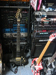 フェルナンデスのギター