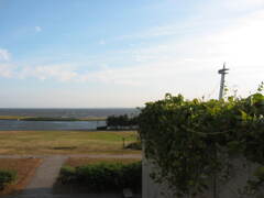 震災前、自転車で行った葛西臨海公園