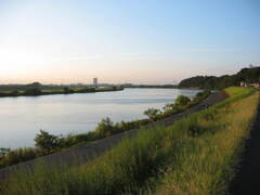 市川市の江戸川の土手から松戸へサイクリング中の撮影