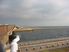 震災前のサイクリングロード