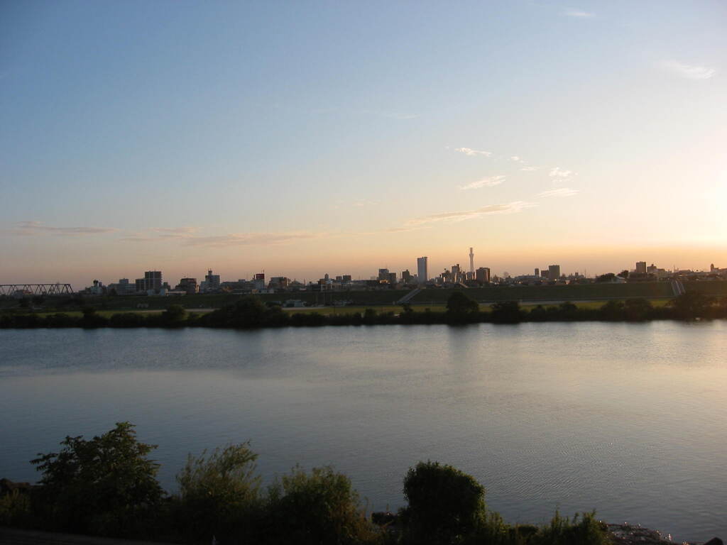 市川市の江戸川の土手から松戸へサイクリング中の撮影