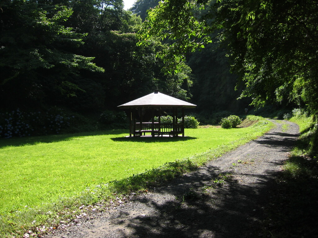 千葉県奥地へ一人旅。ペーパードライバー運転練習の為