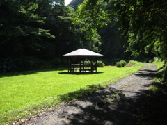 千葉県奥地へ一人旅。ペーパードライバー運転練習の為