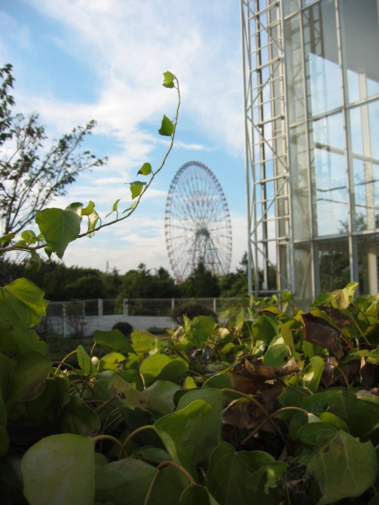 震災前、自転車で行った葛西臨海公園