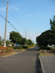 震災前のサイクリングロード