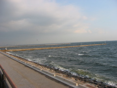 震災前のサイクリングロード