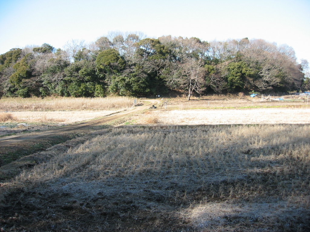 子供の頃に遊んだ場所