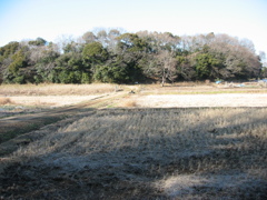 子供の頃に遊んだ場所