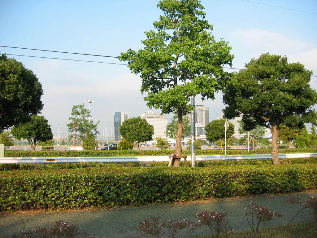 震災前のサイクリングロード