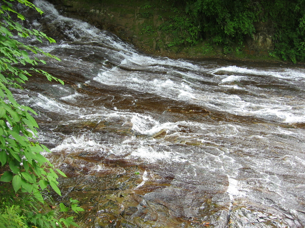 初夏、千葉県養老渓谷